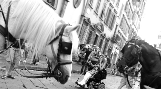 from Florence to Turin