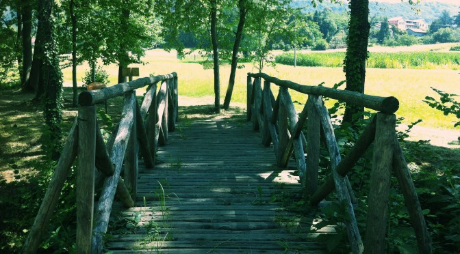 an unpredictable breakfast