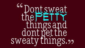 Dont-sweat-the-petty-things__quotes