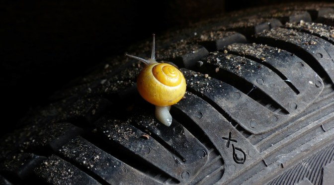 #Il rosso non è il nuovo verde